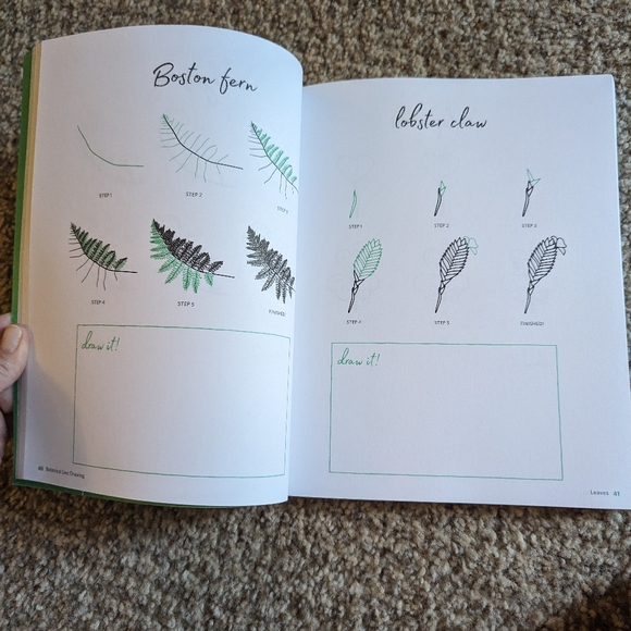 Botanical Line Drawing 200 Step-by-step cacti, leaves, flowers, succulents - Picture 12 of 16